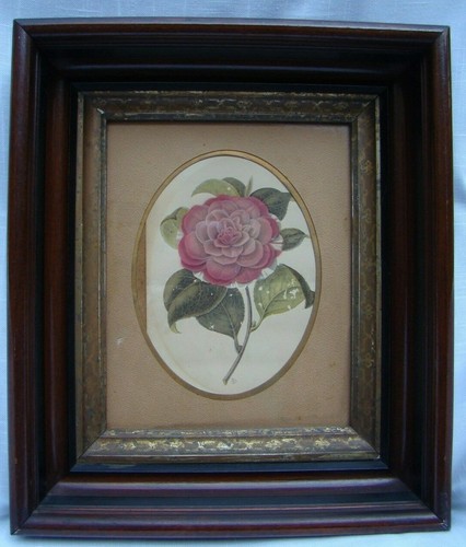 Antique victorian mahogany - antique,