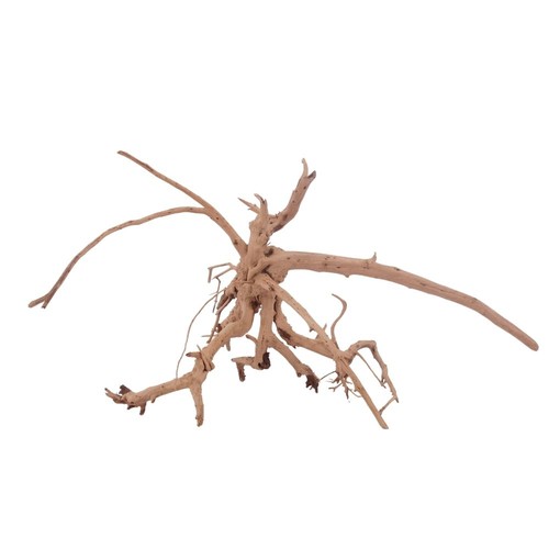Siennawurzel 3282 taille l - taille,