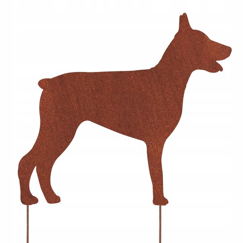 Dobermann chien corten - corten,