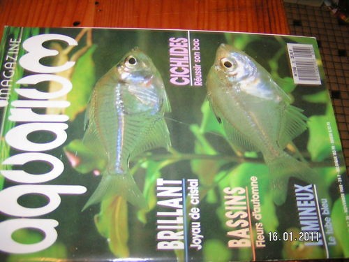 Aquarium magazine 36 - aquarium,