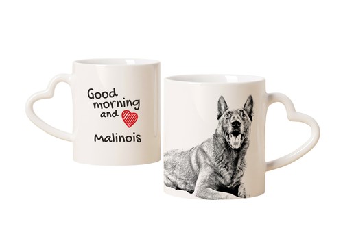 Malinois chien berger - chien, de