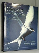 Oiseaux entre ciel et terre - Dejonghe, J-F