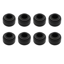 (8) Valve Stem Seals