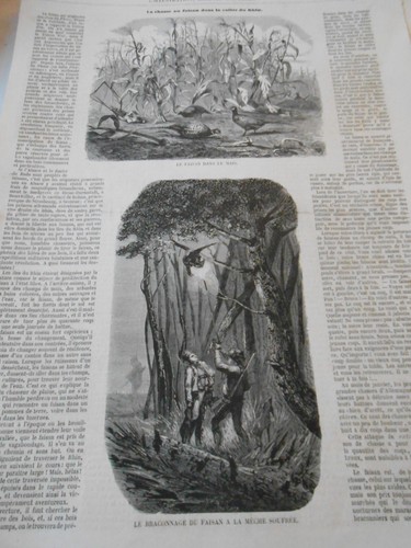 Gravure 1858 chasse au - gravure,