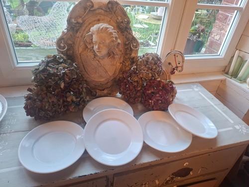 Assiettes blanches en - blanches,