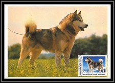 49075 N°1367 Alaskan Malamute