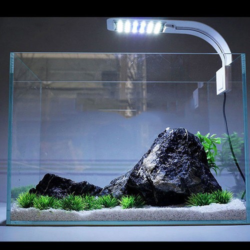 Led étanche aquarium - led,