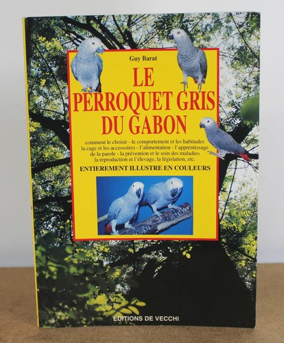 Perroquet gris gabon guy - le,