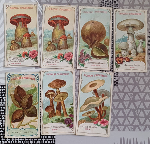 Lot chromos anciens - lot,