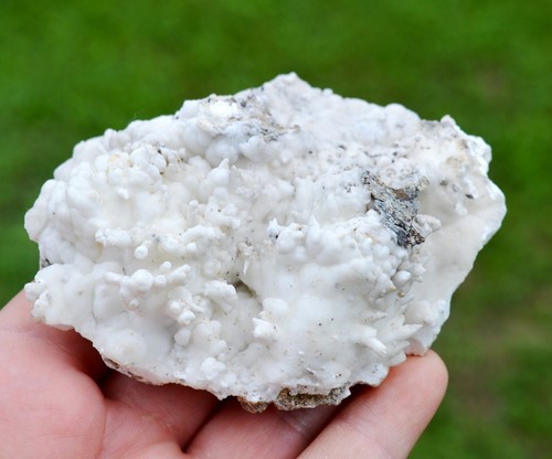 Aragonite flos ferri 230 - aragonite,