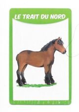 50 Horse Breeds Map - The Northern Line