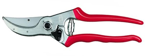 Sécateur pour taille - sécateur, la
