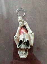 Skull key fob with unclogger