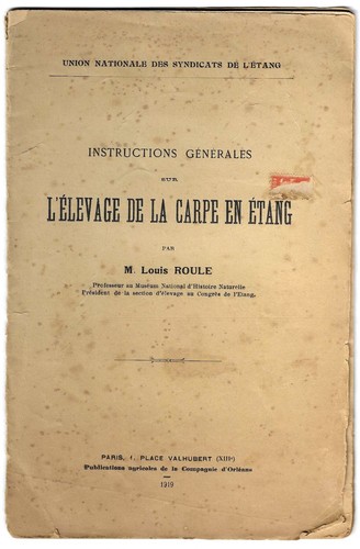 élevage carpe en - l'Élevage, de