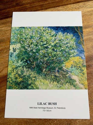 Carte postale 14x10 vincent - postale,