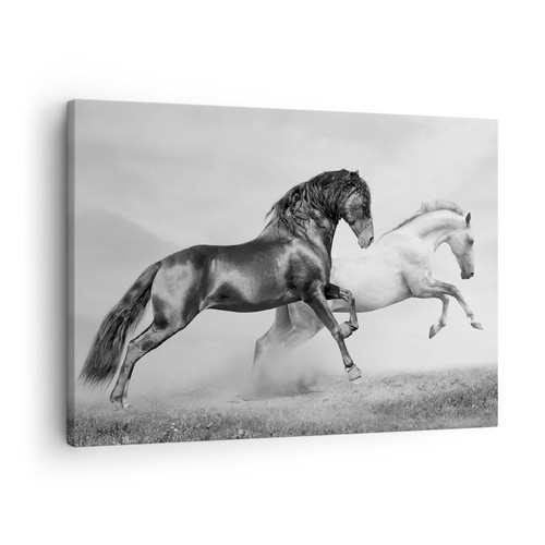 Impression sur toile - impression, 70x50cm