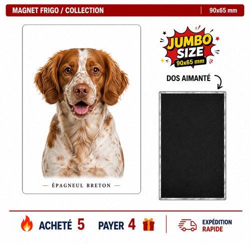 Magnet epagneul breton 90x65 - epagneul,