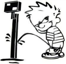 Stickers Autocollant