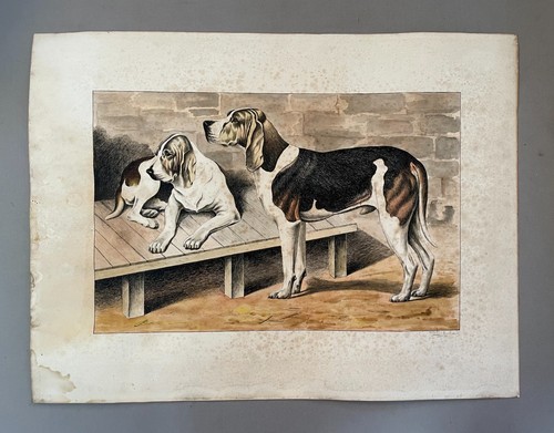Chiens chasse aquarelle - de,