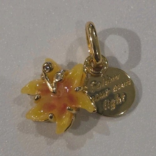 Charm raiponce pandora - charm,