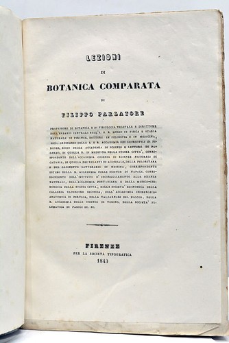 Parlatore lezioni di - lezioni,