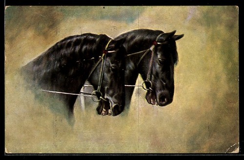 Carte postale deux - chevaux, en