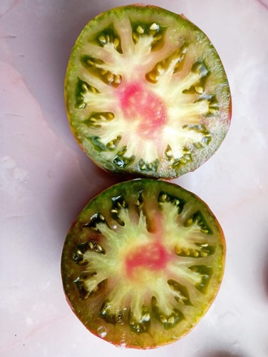 Graines tomate sirop - 25,