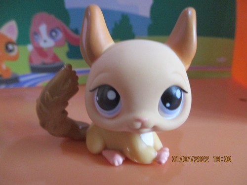 Petshop chinchilla 1102 - petshop,