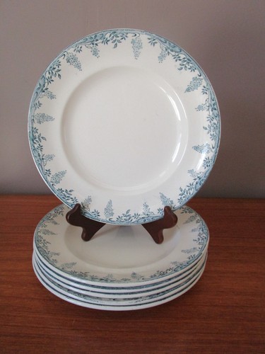 Assiettes plates 24 cm - assiettes,
