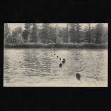 Old postcard swimming / French championship / online