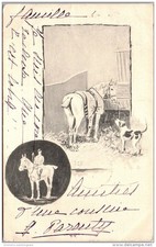 THEMES - HORSES - horse in a box