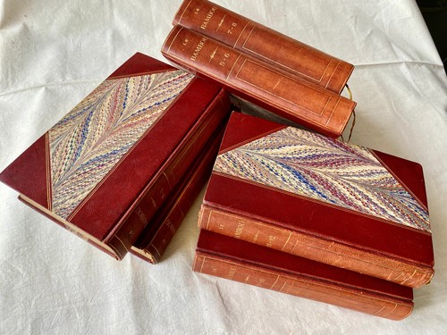Bambou 1893 année - bambou,