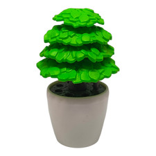 sympa plante arbuste