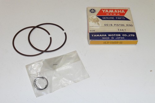 Segments piston 0 25 - segments, +