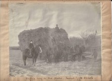 C1910  Towner  North Dakota  Lg Photograph Hauling Hay On Prairie