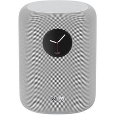 Enceinte Multiroom WIIM Sound