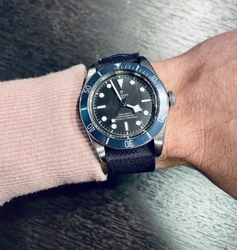 Tudor black bay - bay, 41