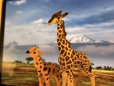 Lot De 12 Figurines Animaux De