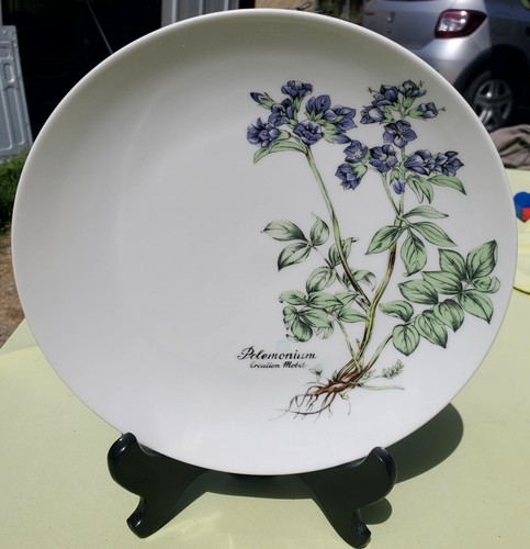 Assiette plate porcelaine - plate,