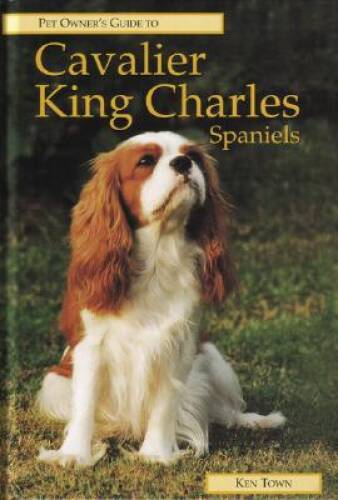 Cavalier king charles spaniels - king,