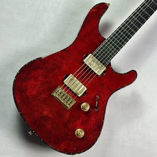 Guitare (Mayones)Regius6
