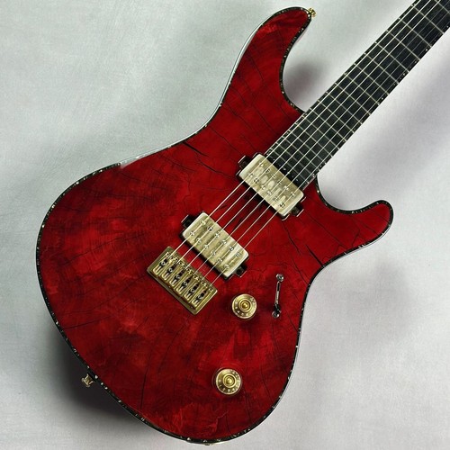 Guitare regius6 - guitare,