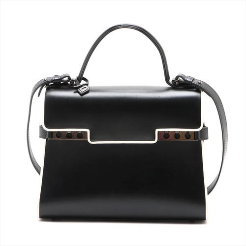 Delvaux tempete leather 2 - tempete, mm