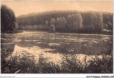 AIAP7-BELGIQUE-0774 - ETANG DE