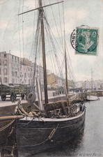 🦬Carte Postale / Postcard /