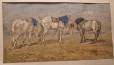 Étude de chevaux –