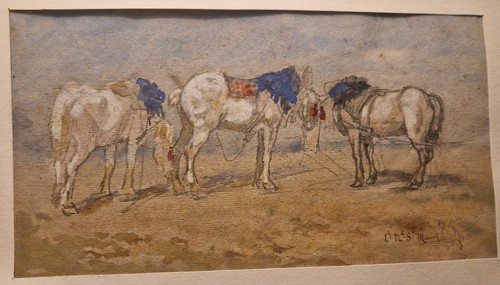 étude chevaux - chevaux, –