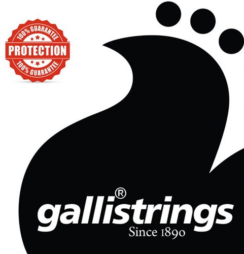 Galli banjo cordes pour - pour, 5