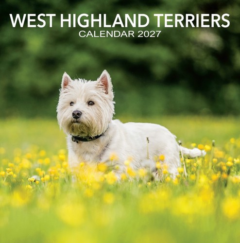 West highland terriers - highland,