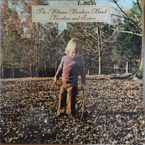 Vinyle 33t the allman - lp,